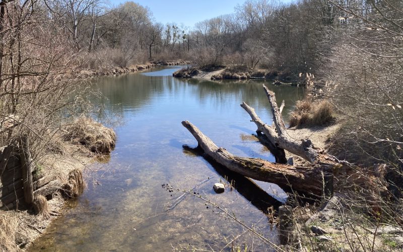 Lobau copyright BI Rettet die Lobau