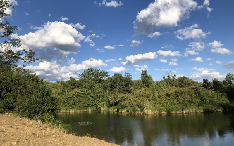 Groß Enzersdorfer Arm, Lobau Copyright Rettet die Lobau