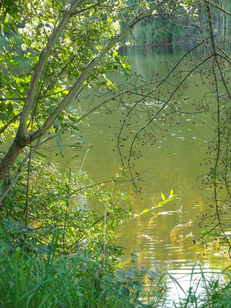 Am Großenzersdorfer Arm